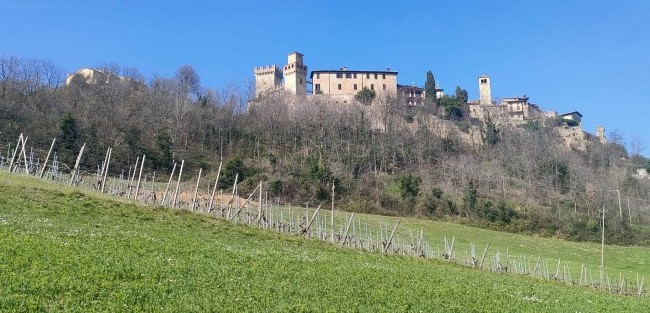 Il Vin Santo di Vigoleno e i Colli Piacentini: terroir, qualità e resistenza